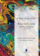 Ruhe sanft, mein holdes Leben Standard