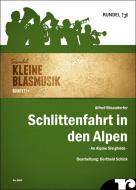 An Alpine Sleighride 