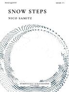 Snow Steps 