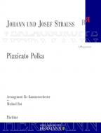 Pizzicato Polka 