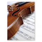 Postcard Violin/music (10 pcs) 