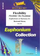 Flexibility Standard