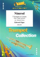 Nimrod Standard