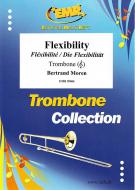 Flexibility Standard