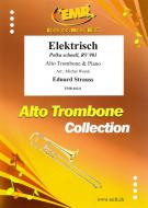 Elektrisch Standard