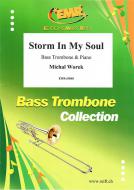 Storm In My Soul Standard