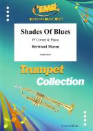 Shades Of Blues Standard