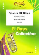 Shades Of Blues Standard