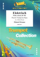 Elektrisch Standard