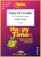 Palace Of Versailles Standard