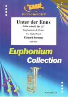 Unter der Enns Download