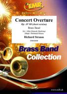 Concert Overture op. AV 80 Standard