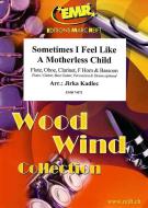 Sometimes I Feel Like  A Motherless Child Download