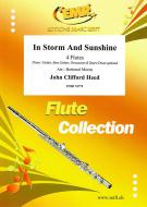 In Storm And Sunshine Download