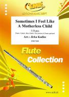Sometimes I Feel Like  A Motherless Child Download