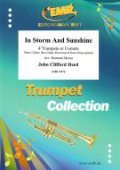In Storm And Sunshine Download