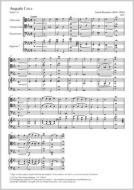 Aequale 1 WAB 114 Standard
