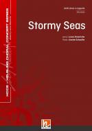 Stormy Seas 