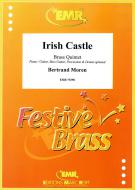 Irish Castle Standard