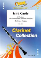 Irish Castle Standard