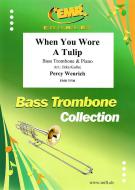 When You Wore A Tulip Standard