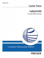 Labyrinth 