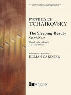 The Sleeping Beauty op. 66, No. 6 