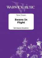 Swans In Flight 