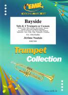Bayside Standard