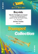 Bayside Download