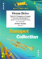 Ocean Drive Download