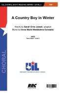 A Country Boy in Winter Standard