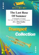 The Last Rose Of Summer Download