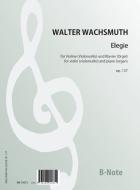 Elegie op.137 