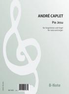 Pie Jesu for voice and organ 