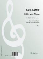 Pictures from Rügen for Harmonium op.4 