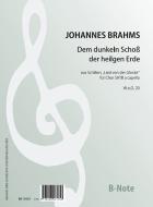 Dem dunkeln Schoß der heilgen Erde WoO.20 
