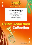 Evening sounds WAB 110 Standard