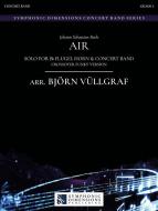 Air 
