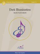 Dark Illumination Standard