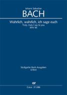 Wahrlich, wahrlich, ich sage euch Download