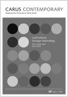 Sonniger Nachmittag Download