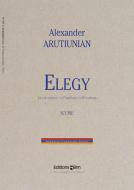 Elegy Standard