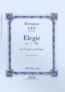 Elegy Standard