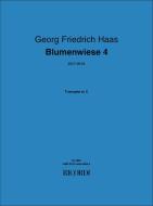 Blumenwiese 4 