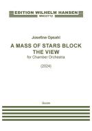 A Mass Of Stars Block The View Standard