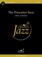The Princeton Strut Standard