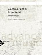 Crisantemi 