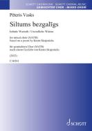Siltums bezgalīgs Standard