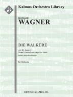 Die Walkuere: Act III, Sc. 3: Wotan's Farewell and Magic Fire Scene 
